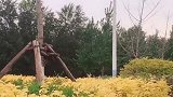 民间男歌手翻唱《涛声依旧》，怎么可以这么好听，果断收藏了！