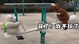 龙凤胎兄妹俩玩跷跷板，都半小时了，愣是动都没动，妹妹完胜！