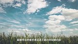 吃粗粮对身体好?这类人吃了等于毁身体