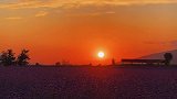 生活很匆忙，别错过日落和夕阳