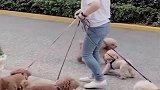 自从生了三胞胎闺女，奶奶每天就这样带她们，看完千万不准笑！