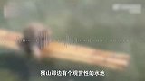 南京动物园猴子自学划竹筏，网友：上只划竹筏的猴子还是在唐朝