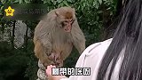 爆笑说翻脸就翻脸，猴哥真是一点面子也不给！