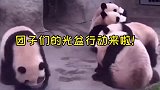 节约粮食的一群标兵，每天把盆舔个精光