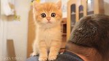 小猫咪：对，就是这个酸爽的味，太上头了