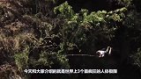 世界上3个最疯狂的人体极限，要不是亲眼所见，都不敢信这是真的