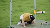 哈哈哈哈哈鹿晗成功带马跳过栏杆