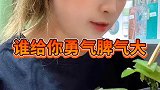 谁给你的勇气脾气这么大