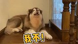 耙耳朵是木有底线的！