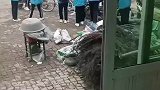 儿子同学来家里玩的全是女生！看不顺眼的才是儿媳妇！