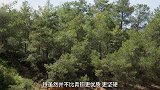 文明探秘(第02集)
