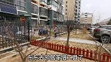 庆幸买了一楼带院的房子，可以养花栽树种菜，在城市享受田园生活
