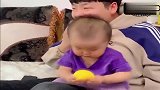 宝宝吃玉米，暖宝你们俩忽悠我