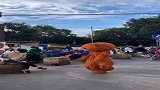网红熊又皮了
