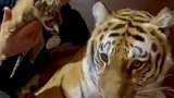 这种信任程度你羡慕吗！