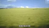 冯绍峰曾经有多宠赵丽颖？上节目多次骄傲提起：我老婆是赵丽颖