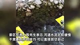 广西一景区“窝囊式”漂流走红，游客躺水面随波逐流，网友：最惜命的“00后”