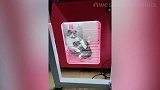 大猫咪太会玩了啊，还这样逗猫咪呢，真是可爱极了！