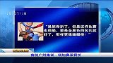 中超-14赛季-鲁能广州集训 杨旭鼻梁骨折-新闻