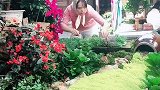 背井离乡来到丽江开客栈，只想经营好自己的小店，不求挣多少钱！