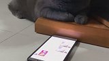 直男直猫：女孩发烧了，我妈让我安慰安慰她，我哪里说的不对吗