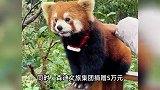 女儿患重病，家长致电动物园望退年卡，园方仅退款并保留年卡权益