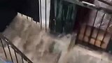 孤烟暮蝉的视频