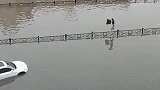 暴雨致路面严重积水，女子穿拖鞋淡定走护栏通过