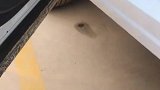 不后悔买这样的车，雨天上下不会有泥