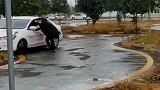 科目二练车遇上“人才”，教练都快被吓尿了！