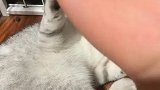 手挠的破相了