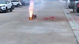 狗狗胆真大，人家放烟花靠那么近，太危险了
