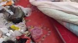 女子租房垃圾遍地不堪入目，房主：给我都惊呆了
