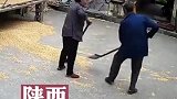 让儿子心疼的一幕，年迈的父亲干活时站不稳，和母亲两人双双摔倒