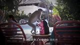峨眉山猴子最怕的东西，只要一亮相，就没有猴子敢靠近！