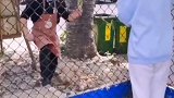 学生隔栏买冰淇淋，网友评论亮了！