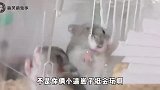 你俩配合的挺好啊，一个负责腐蚀玻璃玻璃，一个负责开洞