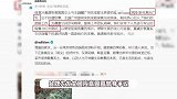 高圆圆疑录综艺用替身被指不敬业，品牌方发声澄清：是取景测光的工作人员