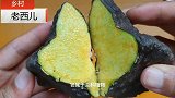 农村小伙在家用盆栽种中草药天麻，一斤卖50元，全套技术分享
