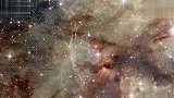 美国宇航局发布北美星云红外线照片