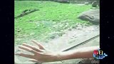 这床真的好骚气，看样子要买一个了！