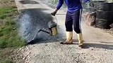 农村铺设柏油路，施工过程如此随意