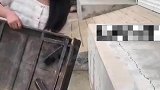 古人的行军桌，不用胶水没有钉子，网友：老祖宗留下的瑰宝