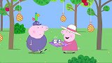 小猪佩奇：孩子们到达猪爷爷的果园找宝藏，但是不能被捉到哦