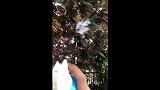 一秒降温，家车办公都能用，再也不怕车座烫了