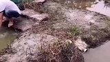 这小子有点坏啊