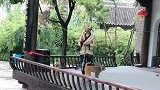 猴子走钢丝。