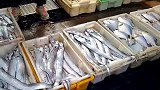 为什么市场上没有卖海带活鱼的