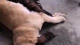 你个没良心的，还玩手机