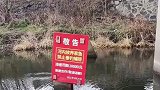 男子出门钓鱼，居然发现有人承包河道养家鱼